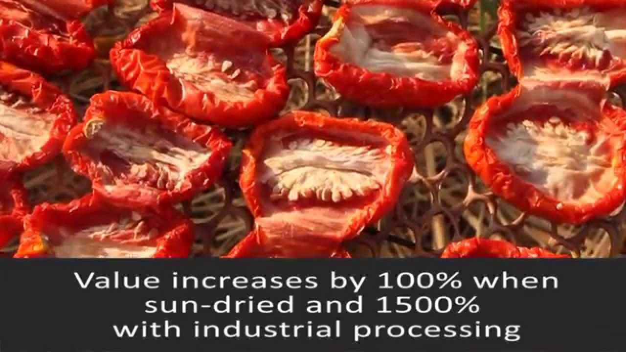 Sundried Tomatoes from Egypt Promo YouTube