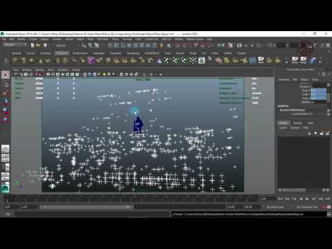 08 Importing 3D Data to Maya Setup