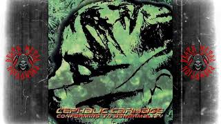 Carnage Cadaver スプリット盤 '90 デスメタル Carnage Cadaver