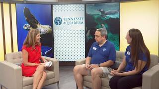3 Plus Your Community- Tennessee Aquarium