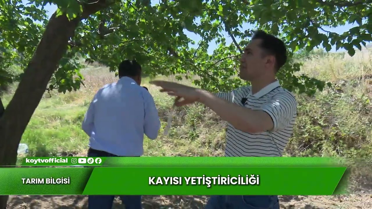 KAYISI YETİŞTİRİCİLİĞİ | TARIM BİLGİSİ