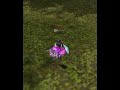 suncy -- ACADEMY BAŞLADIIII #ko4fun #knightonline #mage #pk #cr