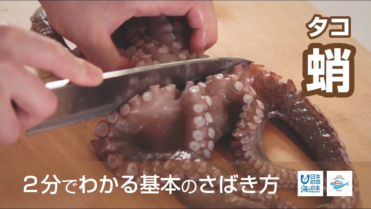蛸 たこ のさばき方 How To Filet Octopus 日本さばけるプロジェクト 海と日本プロジェクト Youtube