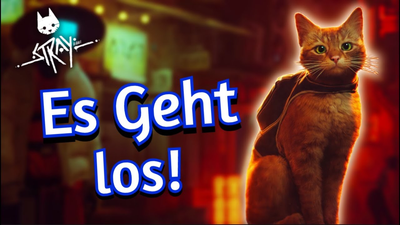 Stray#01 Das Katzenanbenteuer geht los gameplay German