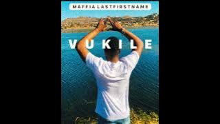 VUKILE ft Trifecta ( visualizer )