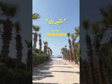 يا عراف بصوت نانسي اصالة وانغام