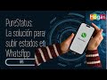 PureStatus La solución para subir estados en WhatsApp - HogarTv producido por Juan Gonzalo Angel