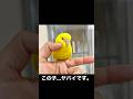 出会ってしまいました...。