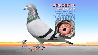 【黃純正】T21-615418