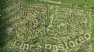 Finca Pastoreo (Only Grass Maze in Puerto Rico) Dorado, Puerto Rico