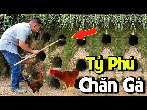 Video: Mẹo Làm Vườn Ở Độ Cao: Cách Trồng Vườn Trên Núi