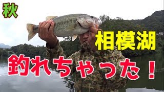 秋の相模湖はやっぱり難しい バス釣り 魚釣り系you Tuberまとめサイト Fishing