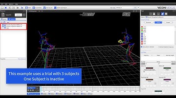 Nexus 2 How To - Matlab GetSubjectInfo