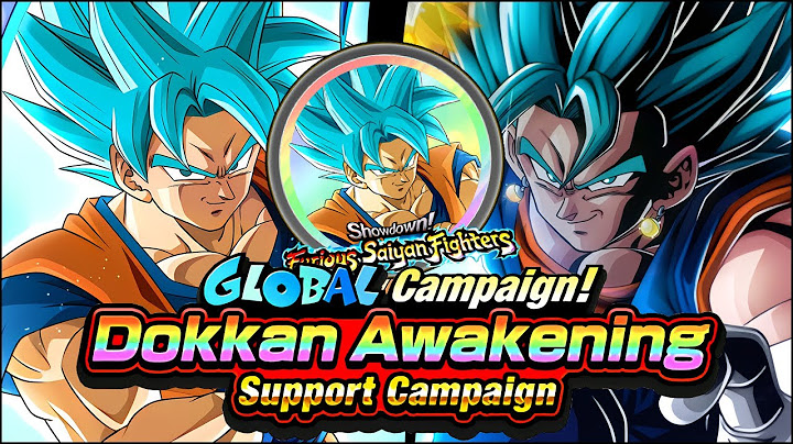 MASSIVE!! 2025 GLOBAL CAMPAIGN! DOKKAN AWAKENING SUPPORT CAMPAIGN!! (DBZ: Dokkan Battle)