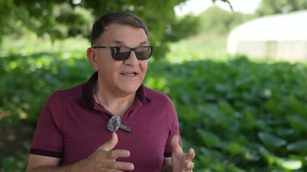 Organsko đubrivo i njegove prednost – Zeleni hit!