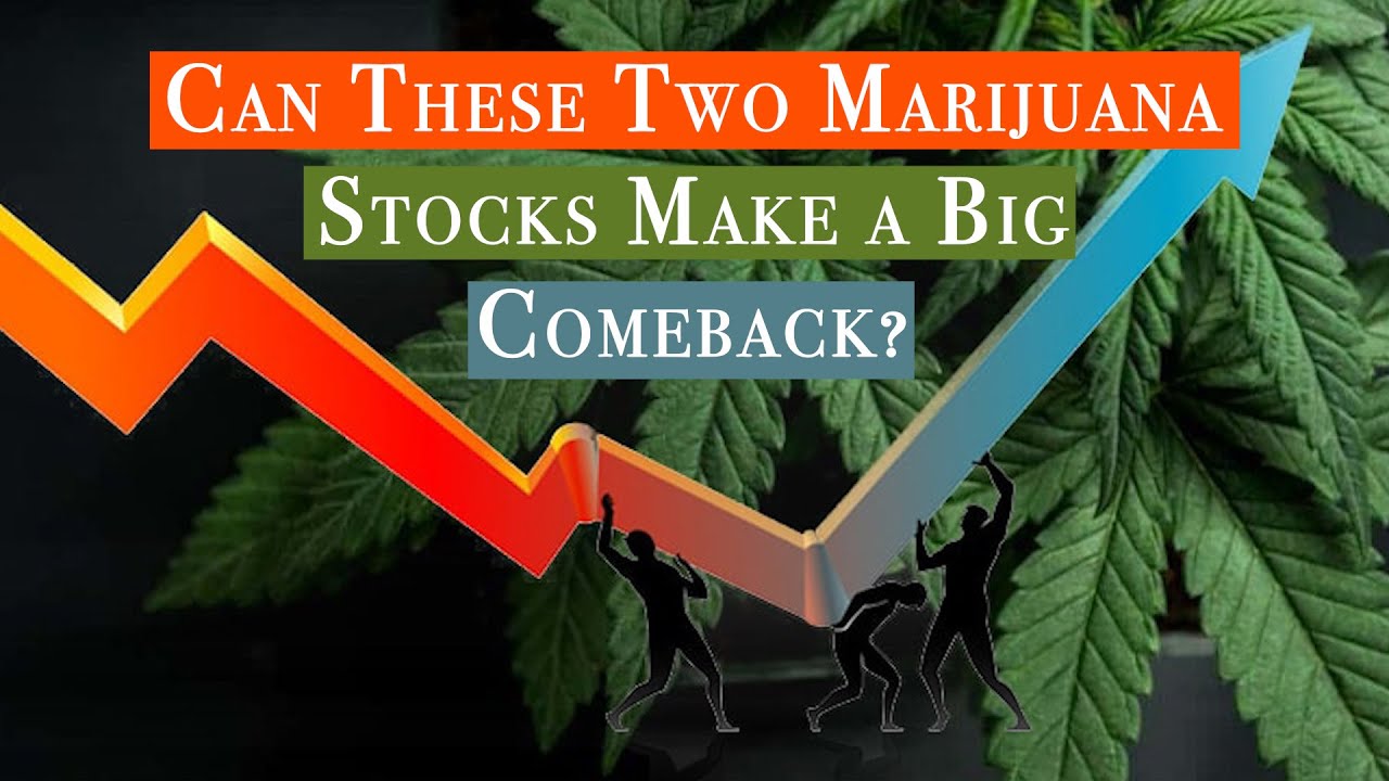 Can These Two Marijuana Stocks Make a Big Comeback?