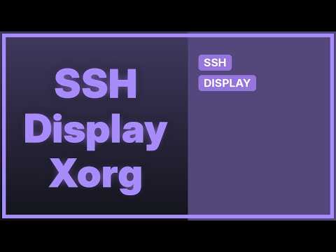 Raspberry Pi: "cannot open display" with PuTTY (3 Solutions!!)