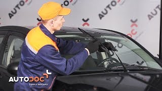 Cómo cambiar Escobillas de Limpiaparabrisas de DODGE CARAVAN - vídeo guía