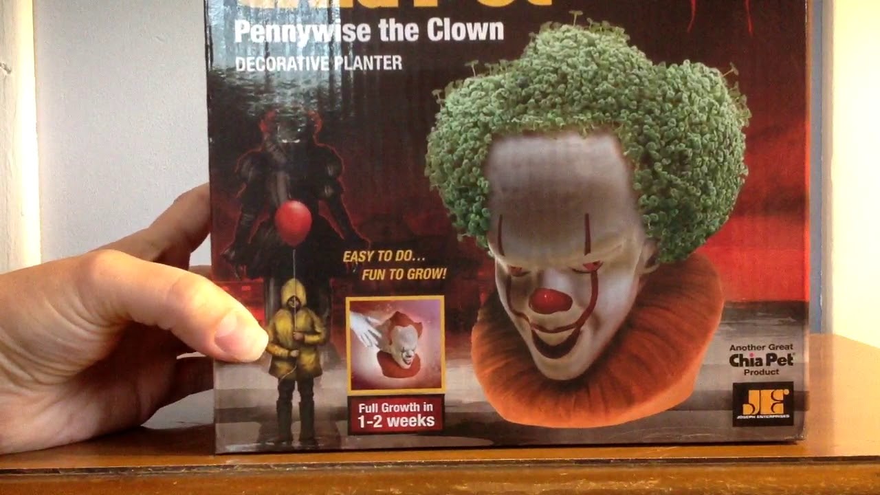 Download Chia Pet Pennywise Walmart Stock