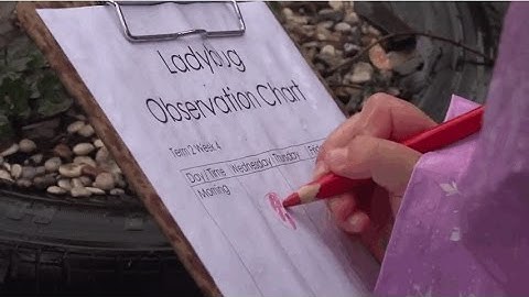 Indicators in preschool numeracy and literacy (IPNL) in a Play-based Environment