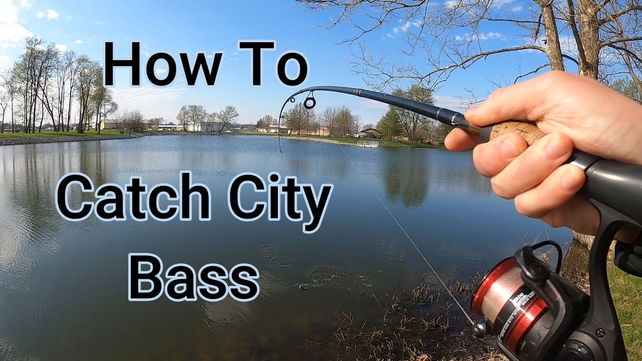 HOW TO CATCH FISH at your CITY PARK Lake. YouTube