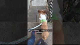 Celebrity Small steps chapter 23 -  Even Jordan...(the country) is catching strays Net Worth