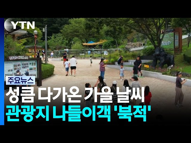 성큼 다가온 가을...관광지 곳곳 나들이객 '북적' / YTN