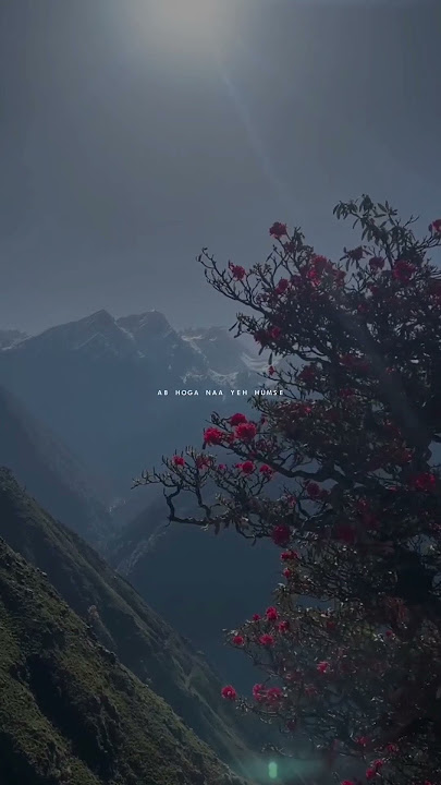 Thoda Thoda Pyaar - Aesthetic lyrics Status | Slowed and Reverb Songs | #shorts