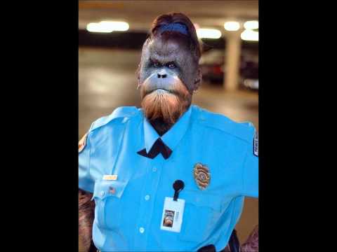 Imagen de Security Guard