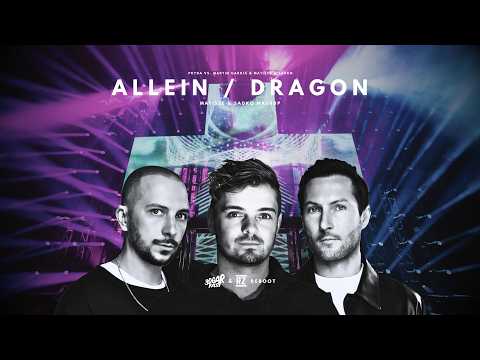 Allein / Dragon (Matisse & Sadko Mashup) [CLEAN] - Pryda vs. Martin Garrix & Matisse & Sadko