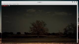 Nmap Tutorial for Beginners   3   Aggressive   Detailed Scan
