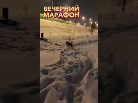 Кадебо на вечерней прогулке)
