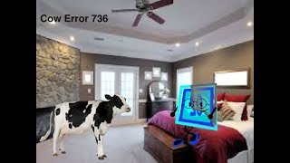 Cow Error 736
