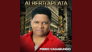 Perro Vagabundo - Alberto Plata