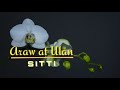 Araw At Ulan -  Sitti l lyrics l Asop l MusicFancier