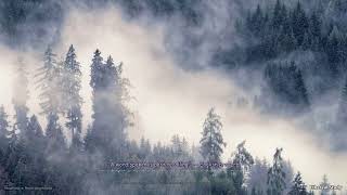 Deep Focus Study Music: Ambient Sounds for Concentration & Flow