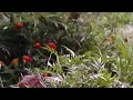 Its_Yaminiverma369 is live sita ram