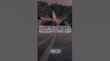 الشيخ ماهر المعيقلي(سورة الزمر) #اكتب_شي_تؤجر_عليه