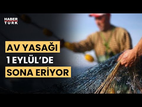 Av yasağı kalkıyor: Balık sezonu açılıyor!