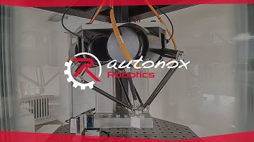 autonox DELTA RLP mechanics