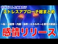 【感情リリース】脳・頭蓋仙骨療法・内臓・体幹・エネルギーとストレスの関連・ストレスフリー・クラニオセイクラル