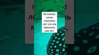 😂мем шуточное юмор ПОСВЯЩАЕТСЯ НАСТОЯЩИМ МУЖЧИНАМ  🧑🏻👱🏻‍♂️👨🏻👨🏻‍🦰👨🏻‍🦱🤴🏻 Shorts
