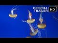 The Living Sea Official IMAX Trailer HD Music By Sting