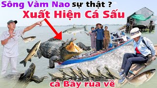 Sự Thật Chấn Động Sông Vàm Nao từng xuất hiện Cá Sấu và bầy rùa kéo về nhà ông lão nghe niệm Phật