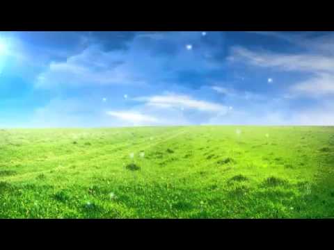 Video video background thiên nhiên xanh đẹp - youtube