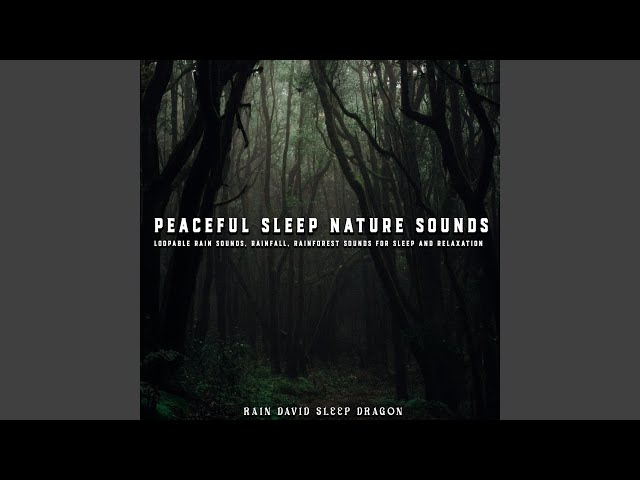 Ambient Morning Birds
