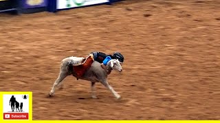 Mutton Bustin' - 2022 Coors Cowboy Club Ranch Rodeo | Friday