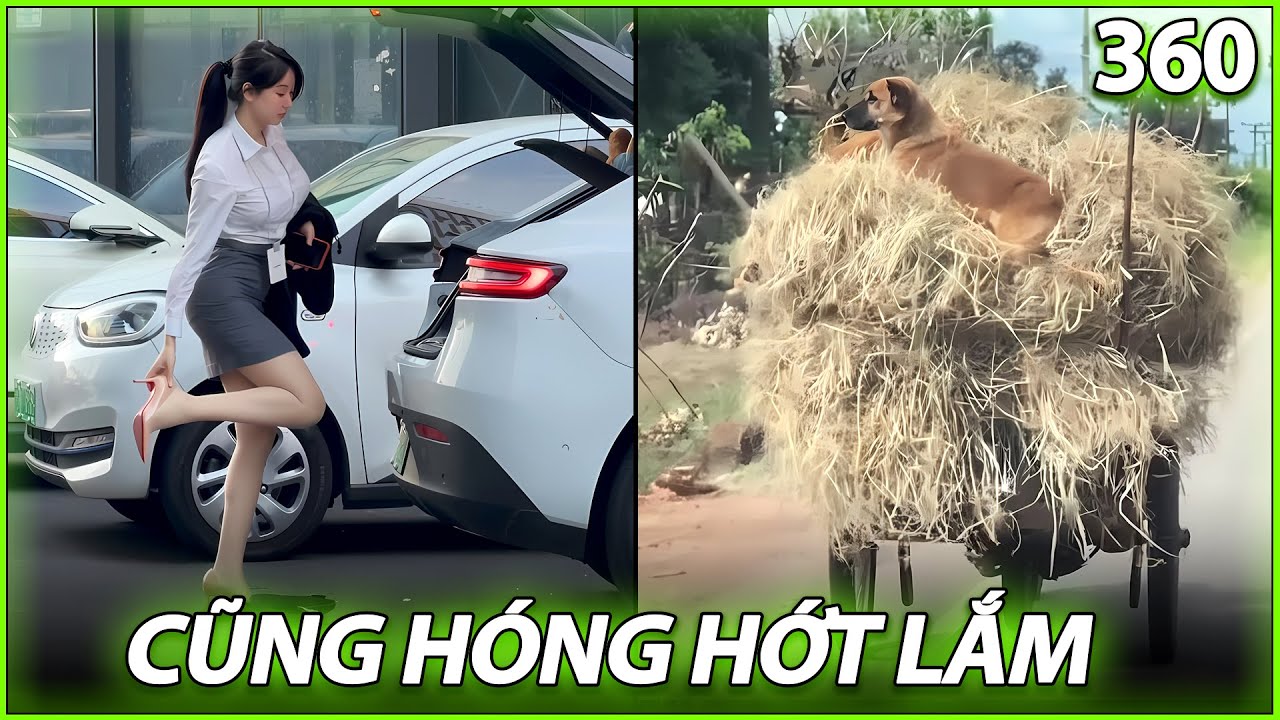 Ừ Thì Xe Phần 360 : Cũng hóng hớt lắm | @uthixe​