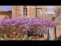 南フランスの花の美しい田舎・ヴィヤンス / 南フランスの村 / 藤の花 / 南仏 / 可愛い猫 / Beautiful village in South of France • Viens