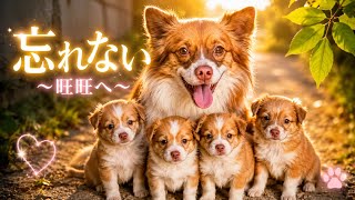 忘れない ～旺旺へ～【追悼歌】